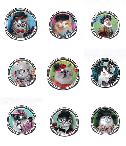 Auswahl katze button - +++,