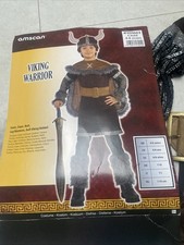 Faschingskostüm Wikinger