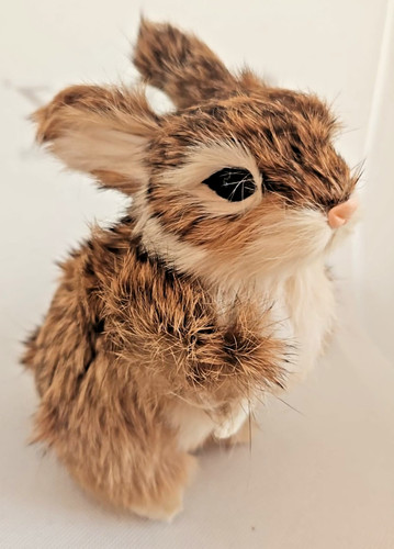 Vintage hase echtfell - vintage, cm