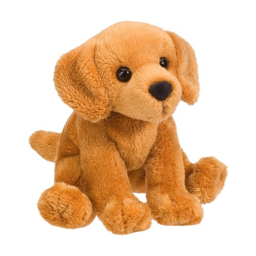Golden retriever sitzend hund - golden,