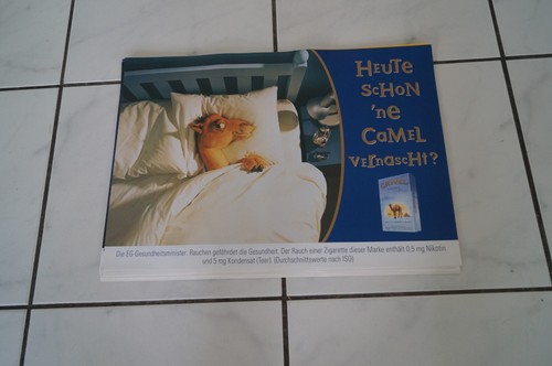 Verschiedene camel - verschiedene,