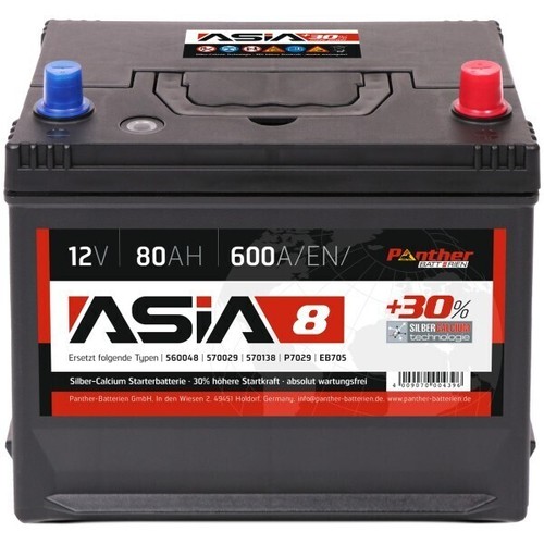 Starterbatterie panther asia - panther,