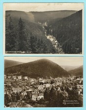 Friedrichroda 1928/1929 - 2 Karten - Der Grund / Gottlob - Thüringer Wald - 484