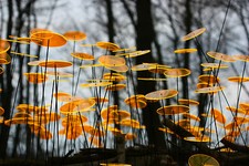 Orginal Cazador del Sol - Sonnenfänger - Suncatcher - MADE IN GERMANY