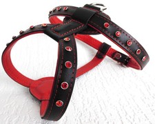 HUNDEGESCHIRR - Geschirr