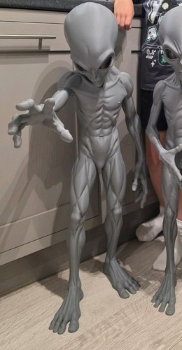 Lebensgroßer grauer alien - grauer, 3