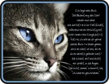 Katze  Blechschild Die