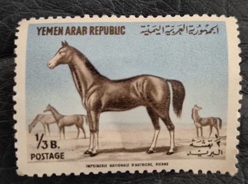 Pferde araber pferd 1w - araber-, pferd.