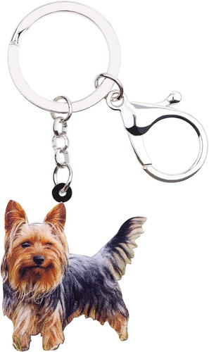 Acryl yorkshire terrier hund - terrier,