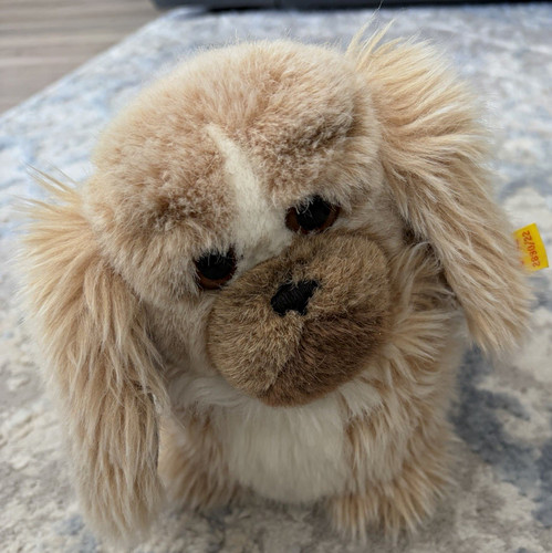 Steiff plüsch hund rarität - hund,