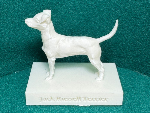 Hund jack russell terrier - hund,