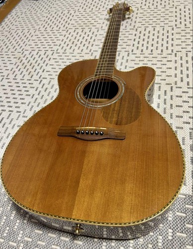 Akustikgitarre samich von - e-akustikgitarre,