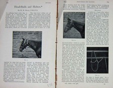 Original alter antiker Druck