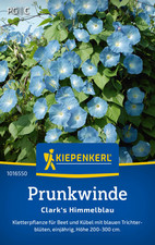 Prunkwinde * Clark`s Himmelblau * MHD 01/29 Winden Kiepenkerl Samen 1016550