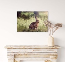 Leinwandbild Hase Natur 60x40
