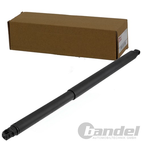 Nty gasfeder heckklappe - nty,