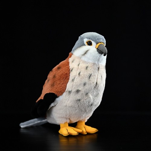 Kestrel falcon adler zoll - falcon,