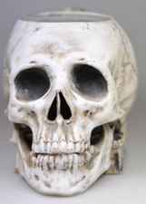 Studentika. Totenkopf-Bierkrug auf Kommersbuch. 1/4 L. Um 1900