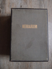 altes Herberium mit getrockneten Pflanzen gepresst Sammler