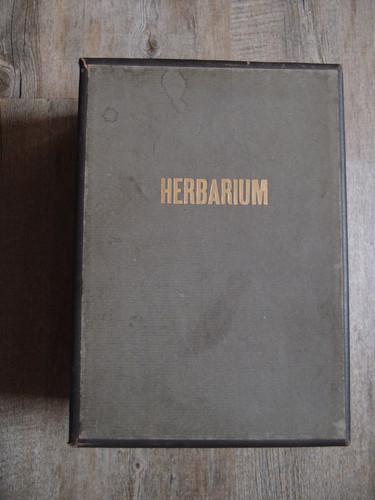 Altes herberium mit - altes,