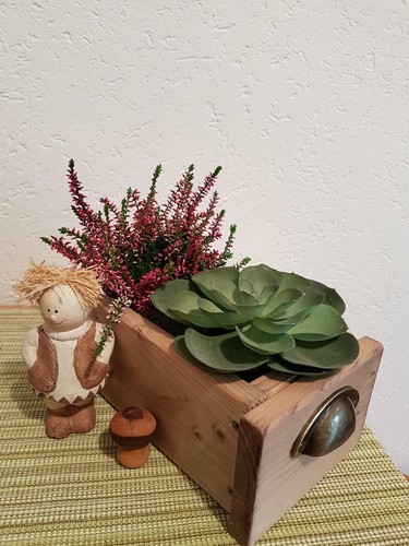 Holzkästchen schublade - holzkästchen,,