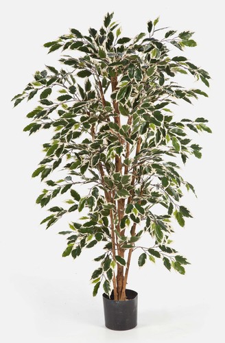 Artplants kunst ficus - artplants,