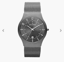 Skagen Designs Titanium
