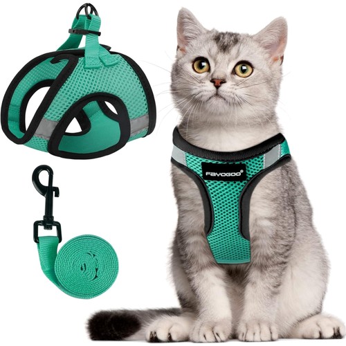 Katzengeschirr - katzengeschirr,
