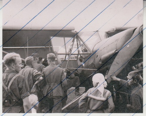 122427 fieseler fi156 storch - 122427,