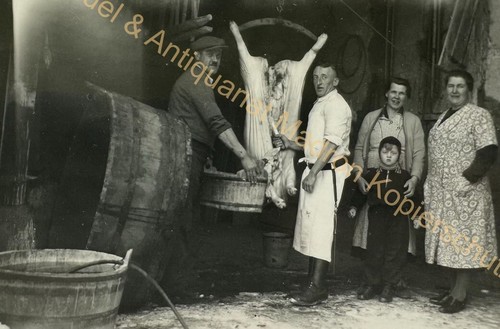 Orig foto schönau im - schönau,