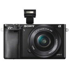 Sony Alpha A6000 Mirrorless