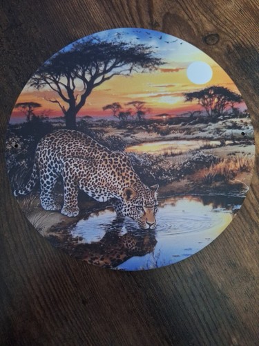 Blechschild afrika leopard - afrika,,