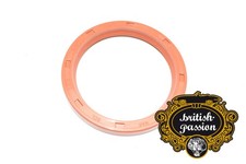 Land Rover Range Rover Discovery Defender P38 Wellendichtring V8-Motor hinten