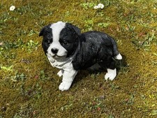 Hund border collie welpe - border,