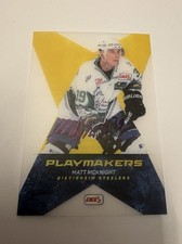 DEL2 Playmakers Bietigheim