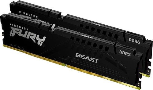 Kingston fury beast - beast, kit