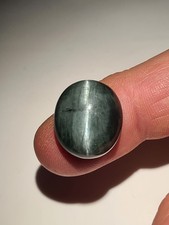 *** Mit Video: Seltenes