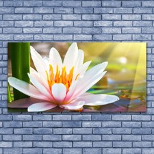 Wandbilder Glasbilder Druck