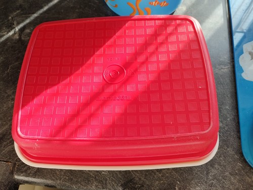 Tupperware dose für wurst ect - dose,