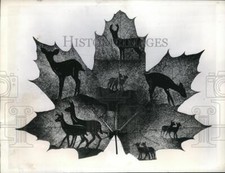 1944 Press Photo View of The