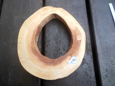 Baumscheibe Astscheibe