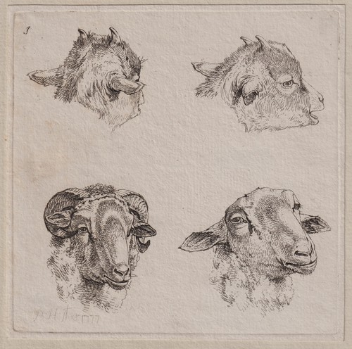 Bernhard heinrich thier - bernhard,