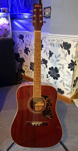 Washburn akustikgitarre - washburn,