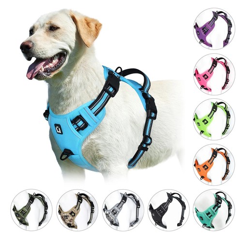 Hundegeschirr