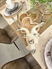 Deko Geweih Hirschkopf Hirsch Vintage Weiß 33x14x43cm Wild Jagd Clayre & Eef