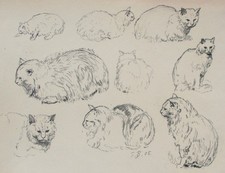 Fritz Berger Zeichnung Katze