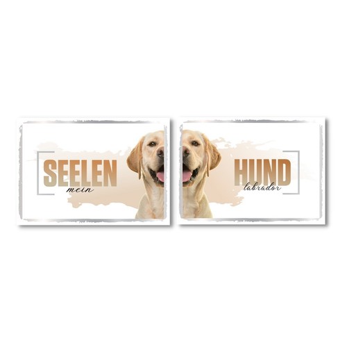 Labrador seelenhund doppel - labrador,