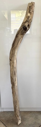 Treibholz xl - treibholz/,