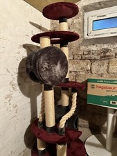 Kratzbaum Nobby Modell Yuma