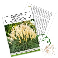 Amerikanisches Pampasgras Samen (Cortaderia selloana) - Winterhartes Ziergras